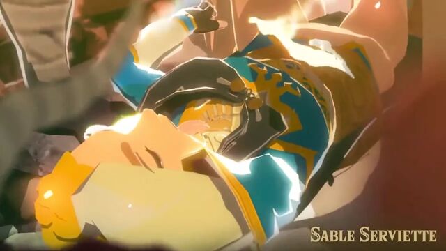 Sable Serviette - Princess Zelda - potiskay.com