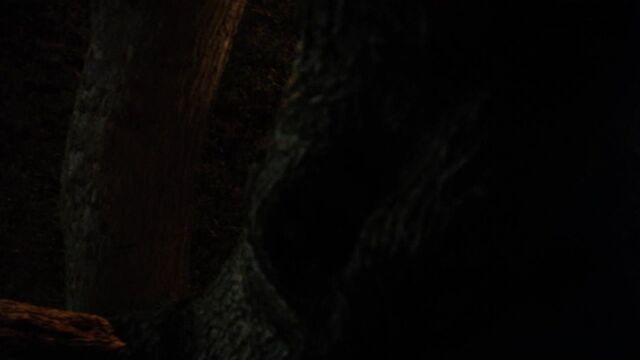 Annabeth Gish Nude - The Bridge s01e06-07 (2014) HD 1080p Watch Online - potiskay.com